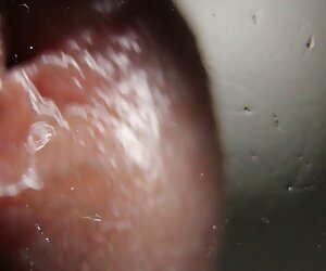 Lesbian một xinh vien xx người phụ nữ